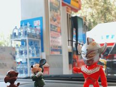 -中国石油加油站(严桥路站)
