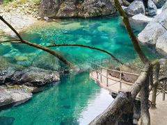 -石台牯牛降景区