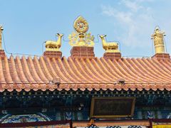 -大召无量寺