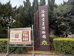 -洛阳古墓博物馆