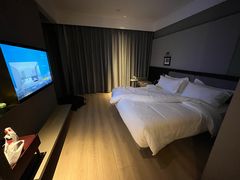 -兰兹国际酒店(深圳宝安机场店)