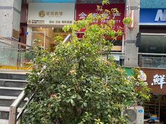 -左悦·艾灸调理·推拿按摩·精油SPA(卓悦汇店)