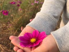 -西青郊野公园