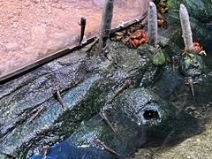 -正佳雨林生态植物园