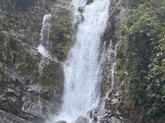 -鼎湖山风景区