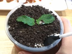 -豆豆冰室·地道招牌椰子冻(大良店)