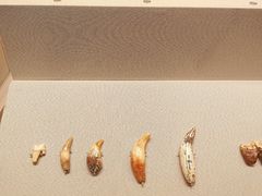 -重庆中国三峡博物馆(重庆博物馆)