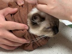 -瑞鹏宠物医院(大运分院)