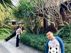 -美的鹭湖森林度假区