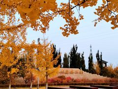 -永定河休闲森林公园