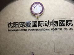 -宠爱国际动物医院· 猫科· 外科·中兽医(长白店)