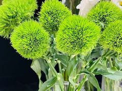 -曹祥泰(解放路店)