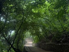 -云丘山景区