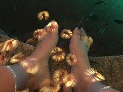 -宝丽金大酒店·洗浴中心