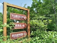 -大岭沟猕猴桃谷风景区