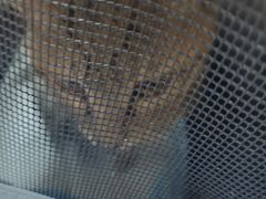 -创凡宠物医院·骨专科  猫科中心(西乡分院)