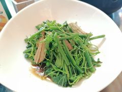 -食家鸽园