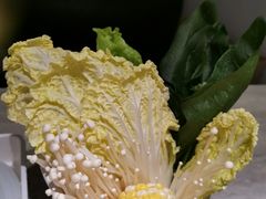 -千味涮·健康火锅(会展连城新天地店)