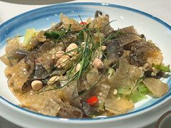 顺德凉拌鱼皮-滋粥楼·顺德菜(番禺广场总店)