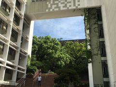 -香港大学