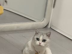 -中农国际动物医院24小时·猫科·骨科·急重症中心