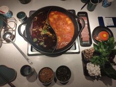 红汤梭边鱼锅-新辣道鱼火锅(西直门店)