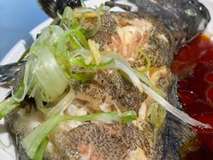 -盒马鲜生(公园1903店)