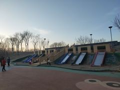 -大兴滨河森林公园