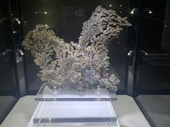 -中国地质大学逸夫博物馆