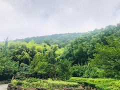 -九龙潭景区