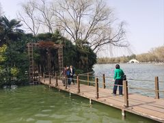 -洛阳市隋唐城遗址植物园
