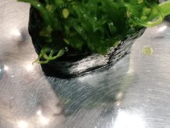 -韩风源烧烤涮自助餐厅(禹州新一峰店)