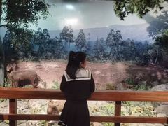 -温州博物馆