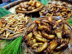 昆虫总动员-昆虫窝子·特色云南菜(拓东路总店)