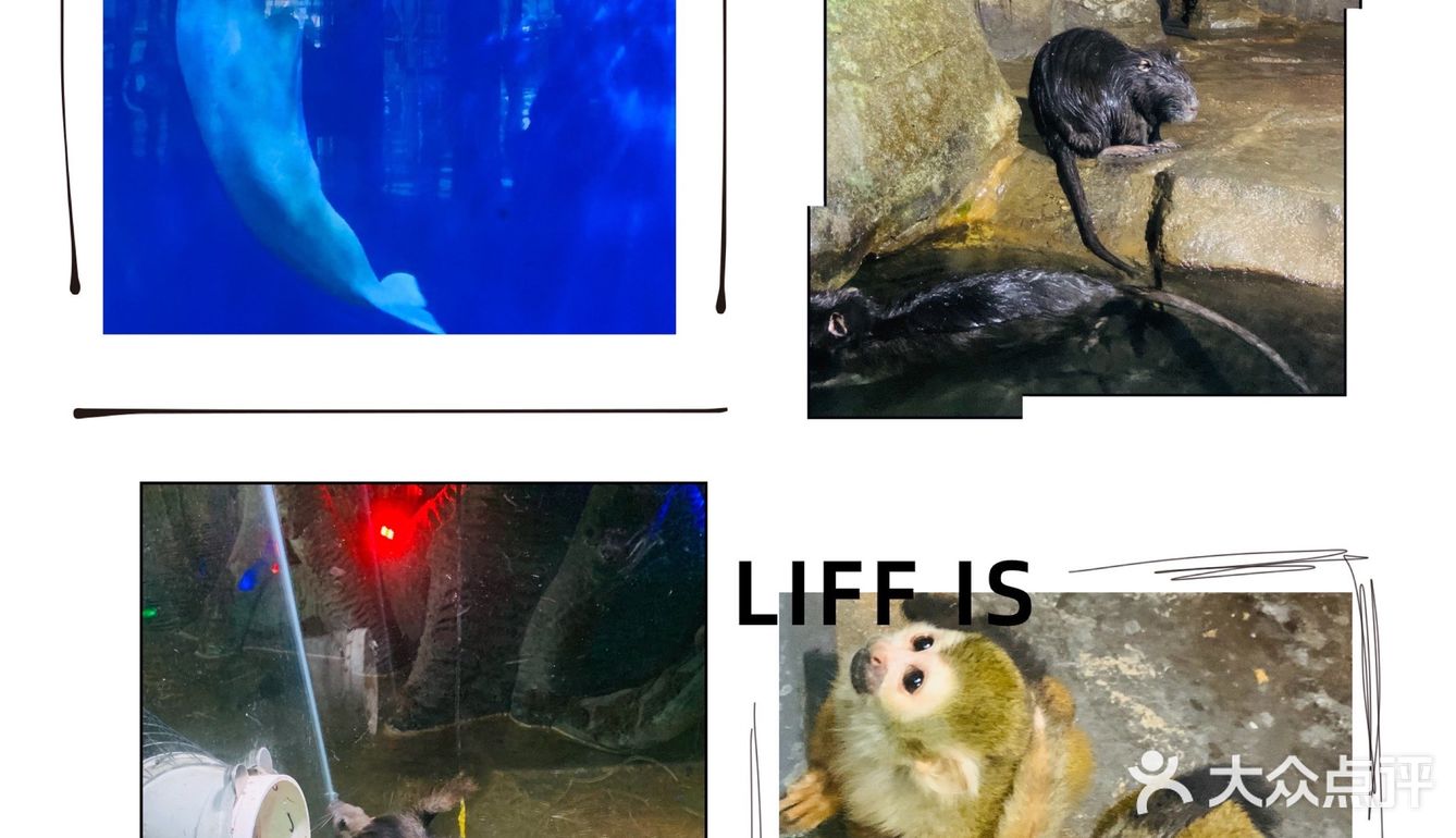 #济南周边游#在海边,是游而不是游泳