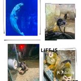 #济南周边游#在海边,是游而不是游泳