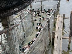 -恒盛海鲜餐厅