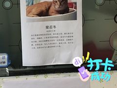 -荔康动物医院(康王北路店)