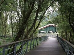 -八卦田遗址公园