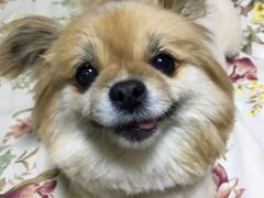 -中农大我爱我爱24h动物医院·中医针灸·猫专科·骨科医疗中心(双井店)