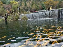 -玉水寨丽江源餐厅