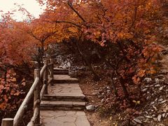 -北京上方山国家森林公园