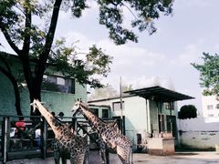 -昆明动物园