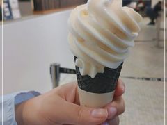-喜茶(迪士尼小镇DP店)