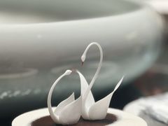 -BLACKSWAN黑天鹅(环球店)