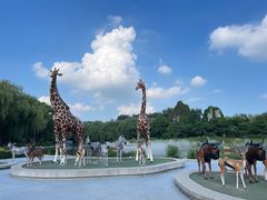 -北京野生动物园