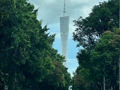 -珠江夜游广州塔·中大码头