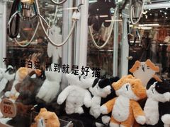 -多抓鱼循环商店(虹桥天地店)