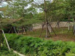 -五缘湾湿地公园