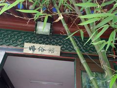 -王家大院